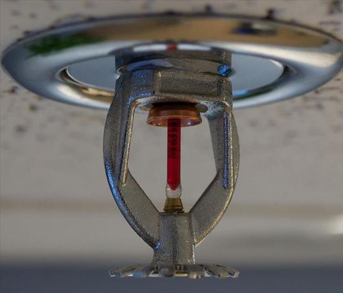 Keep Your Fire Sprinklers Cleaned